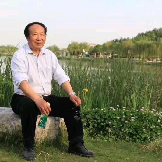 鑫诺陈平