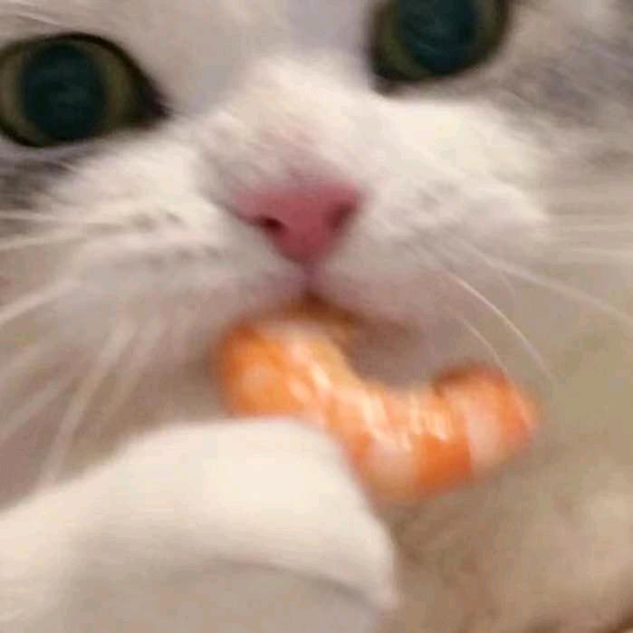 脑袋以下全是胆