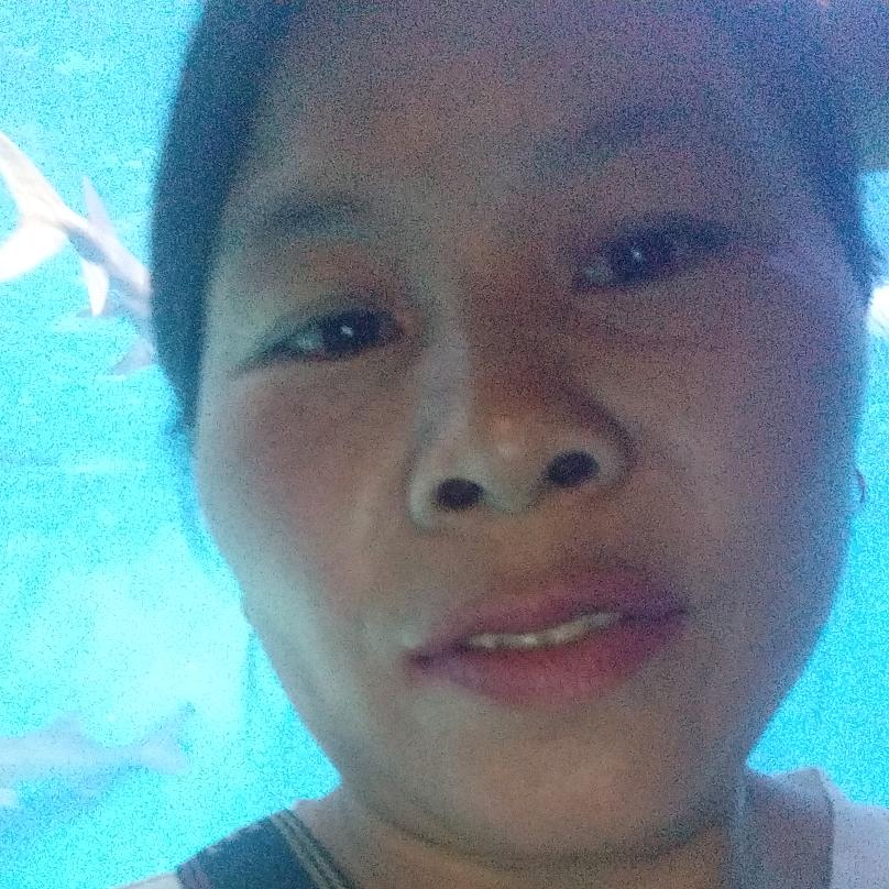 诚信门窗