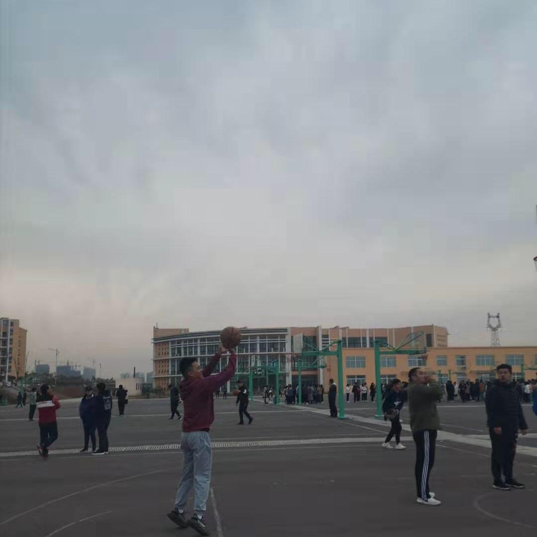 朋友圈的鸽子