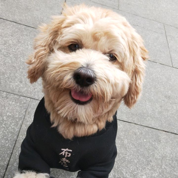 敏鸽，凯里市海壹二手房