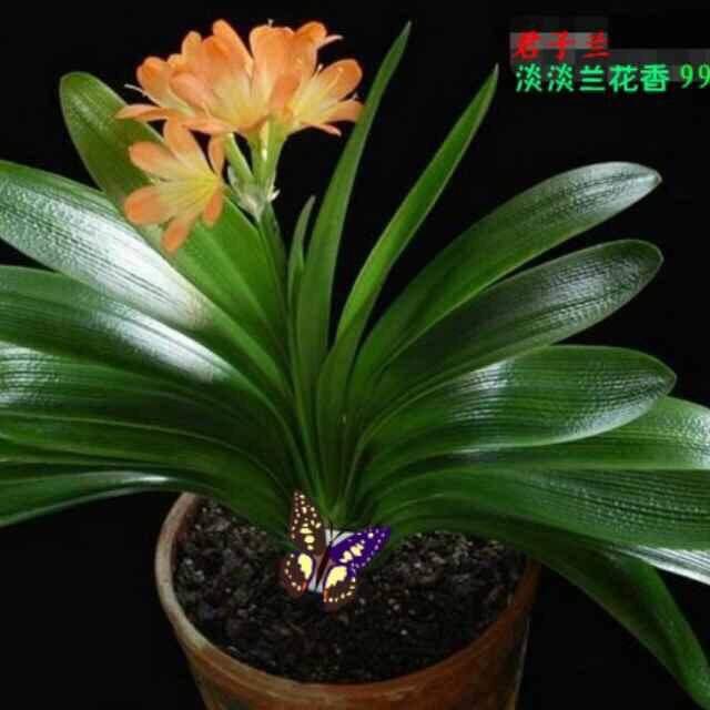 沉 ⭐默