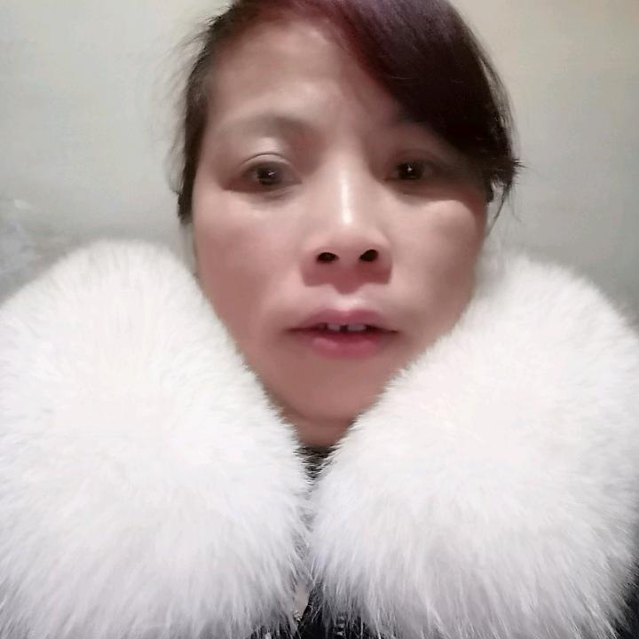 月光下的友情