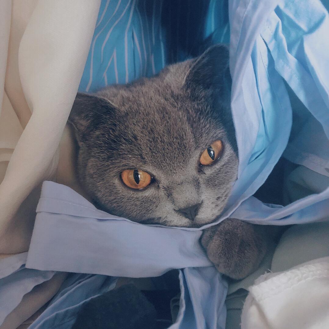Zoe