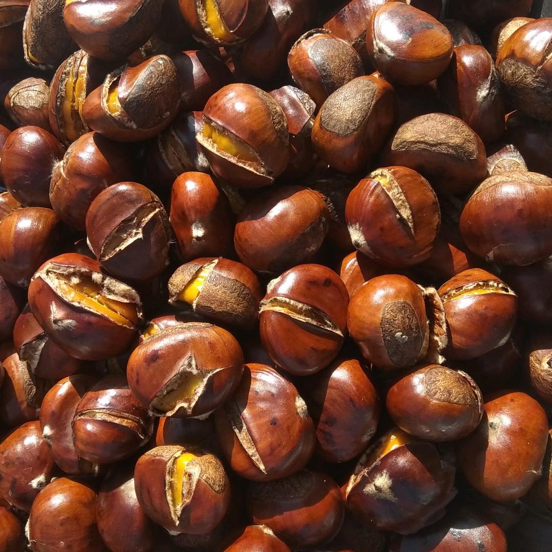 糖炒栗子（潘姐）