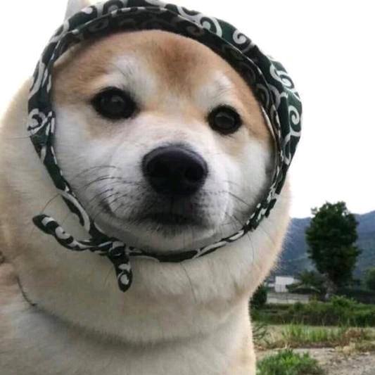 小北以北