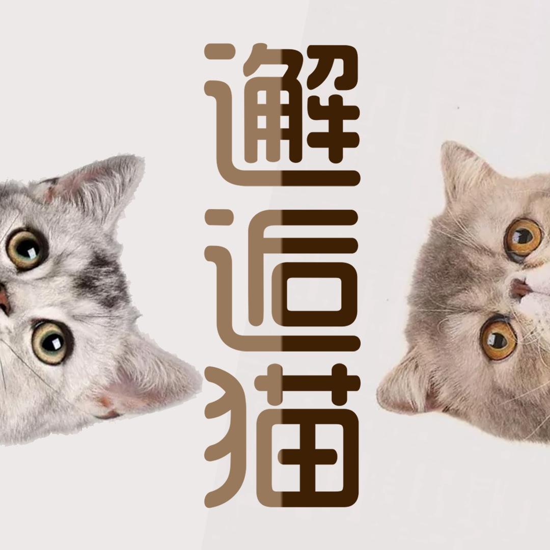 邂逅猫