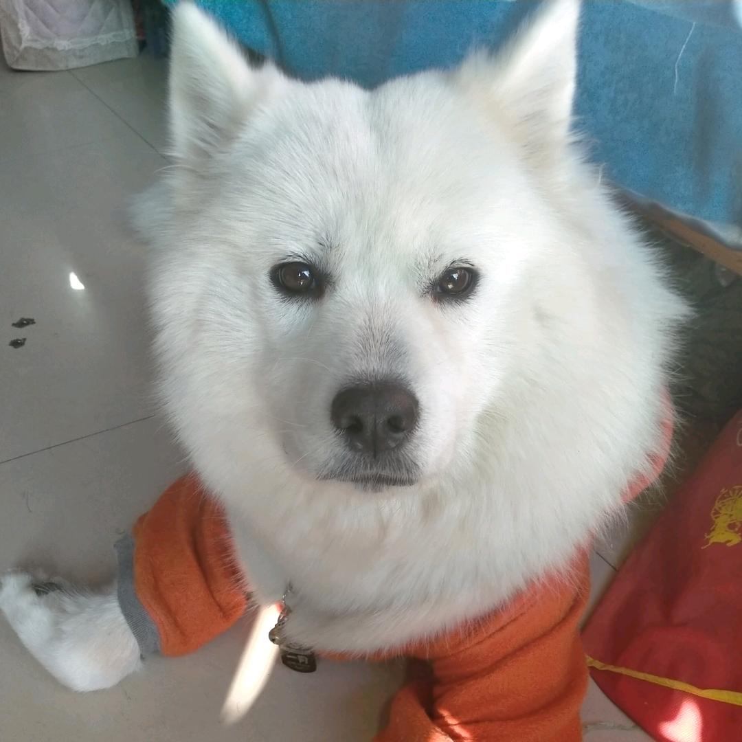 阳光家纺