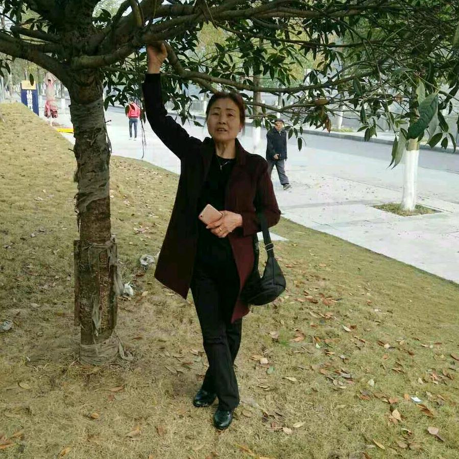 董延菊