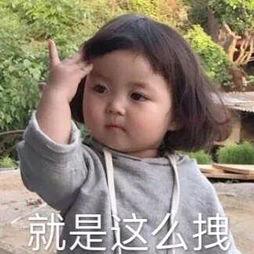 鱼的记忆