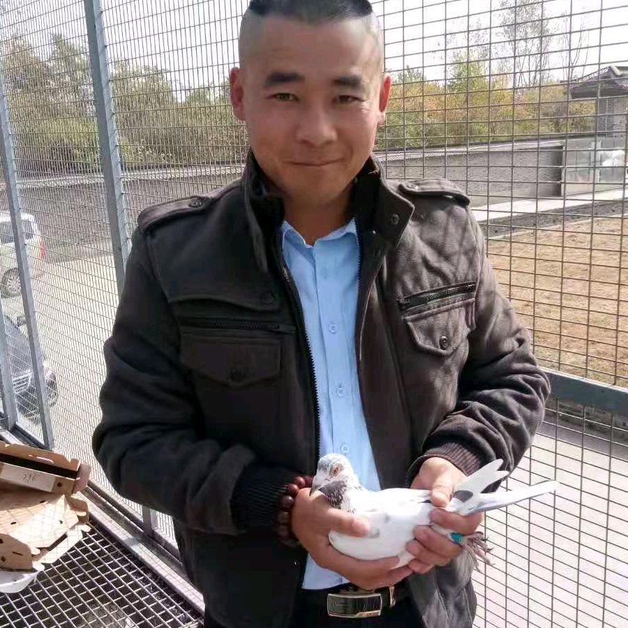 一飞满天下鸽业