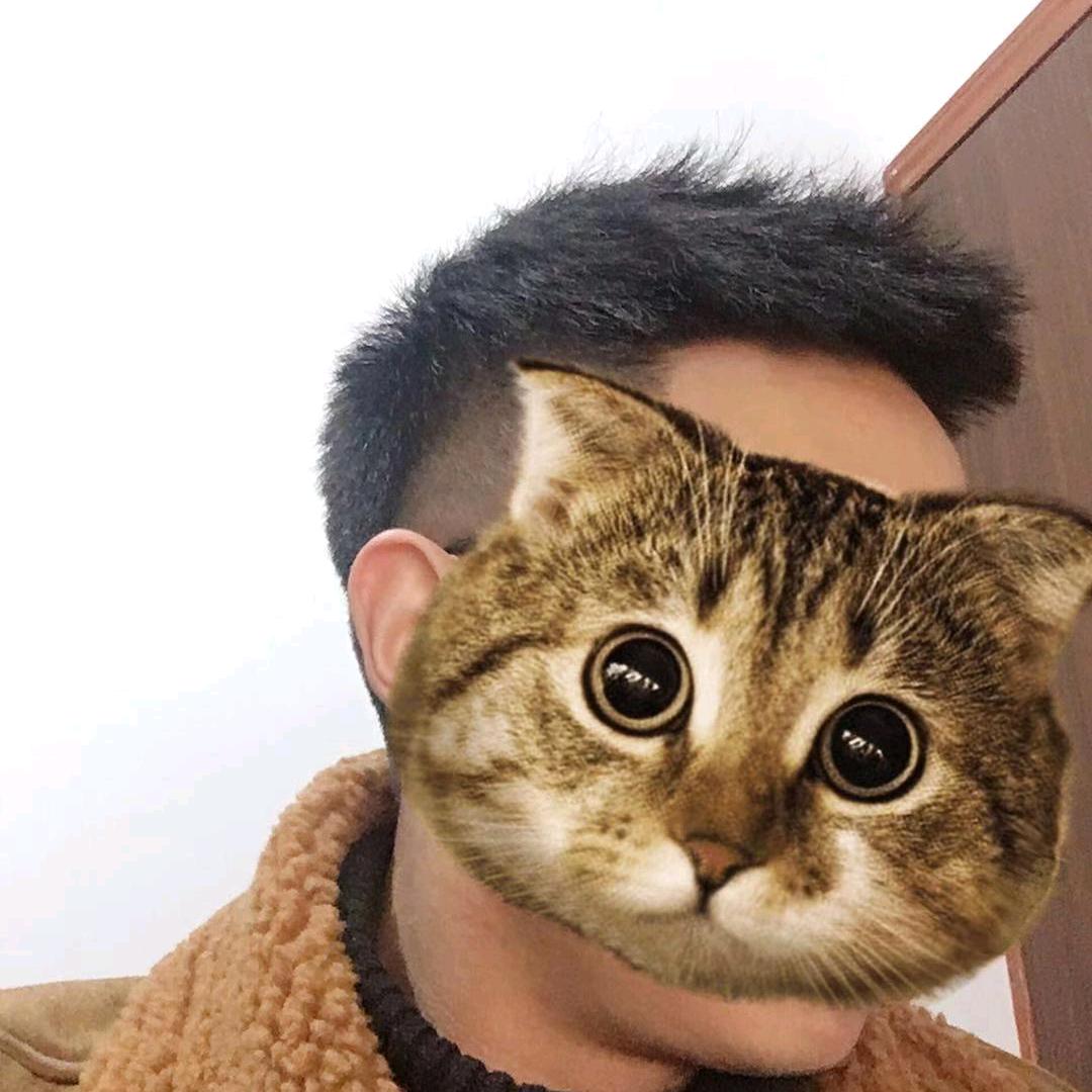 抖抖