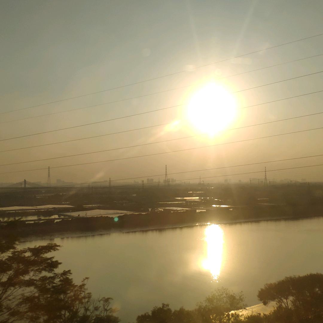 天南星辰