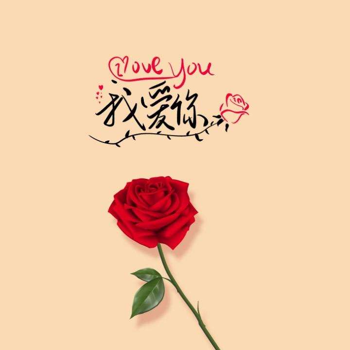 陶姑