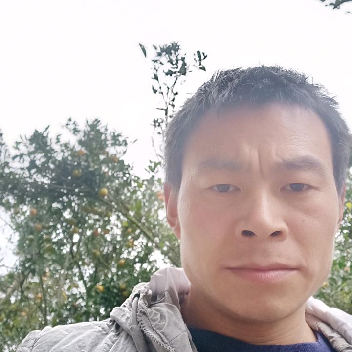 柿子坝搬运队