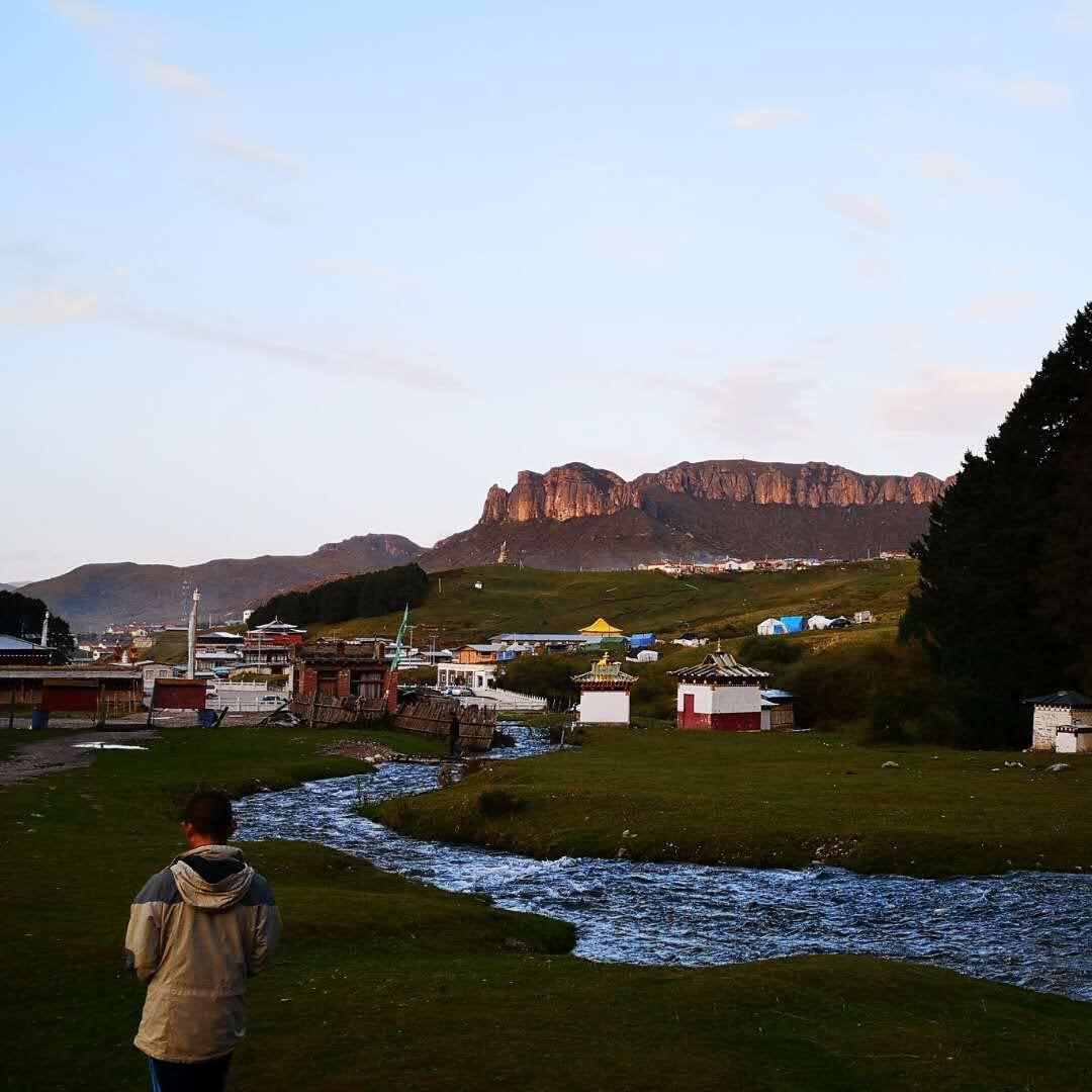 思园（陈本金）