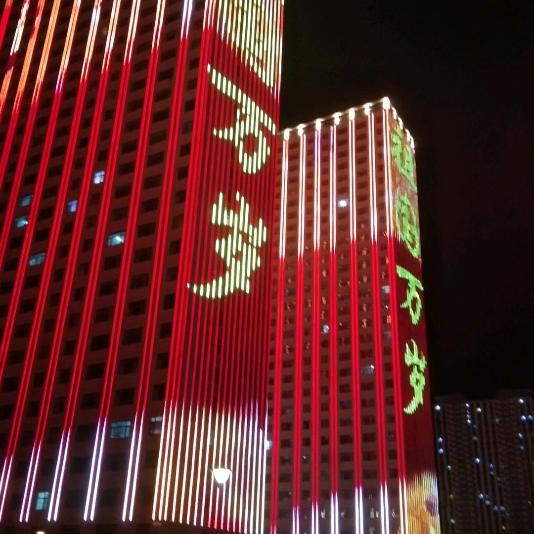 叶子龙
