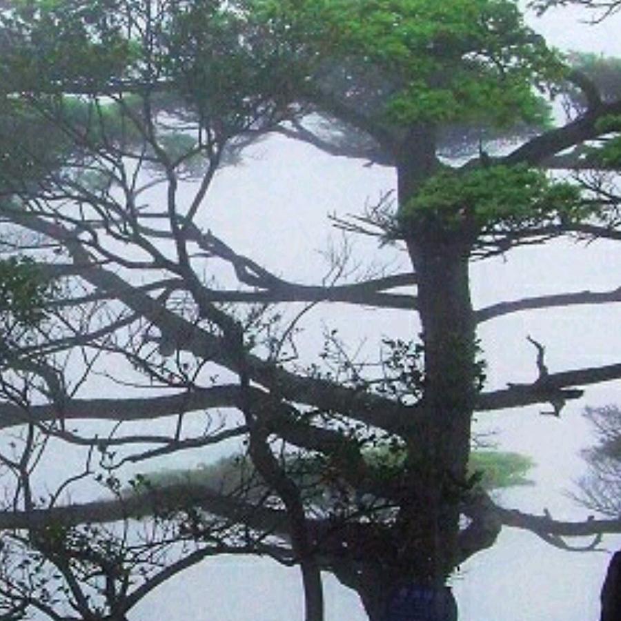 天意