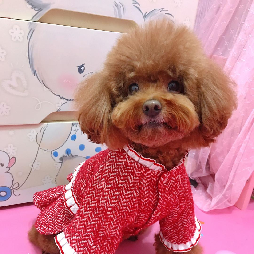 艾米baby