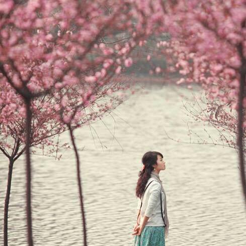 顺心如亿