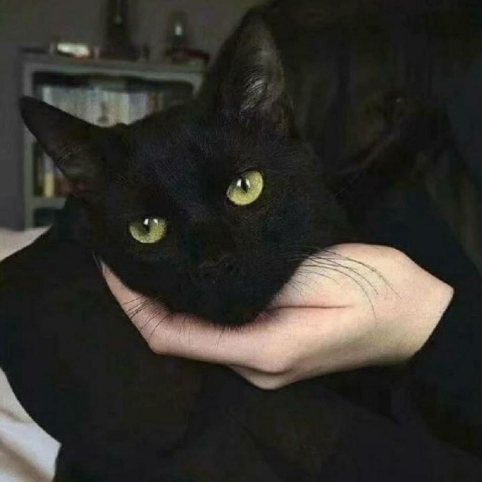 YD