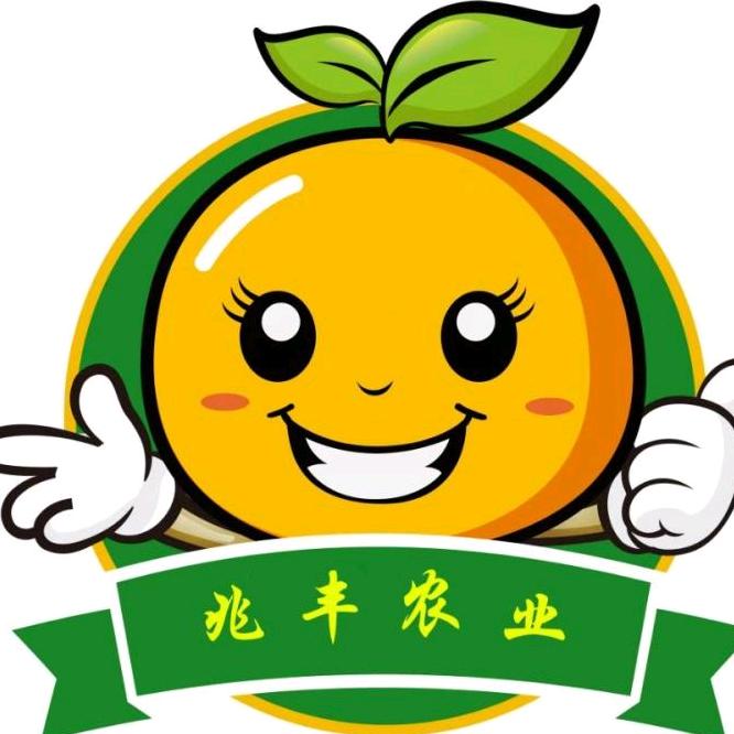 兆丰农业黄伟