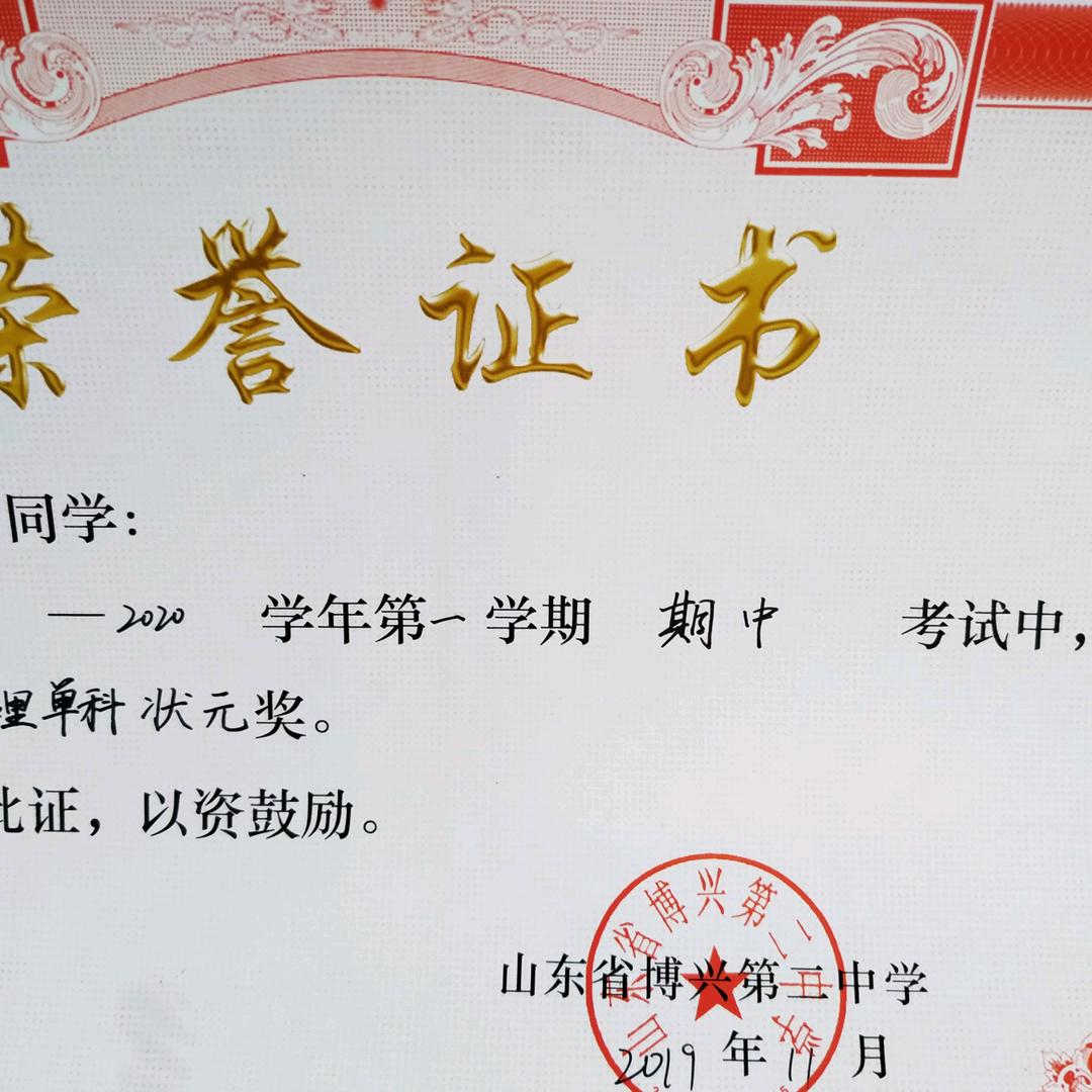 阳光下的木兰花