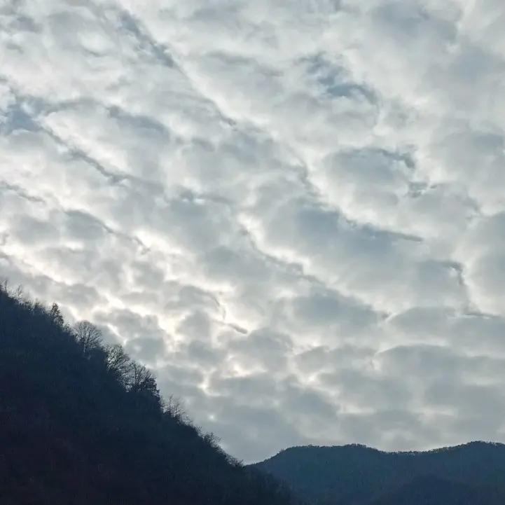 春风化雨