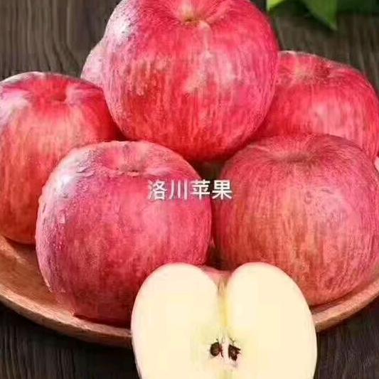 牛哥