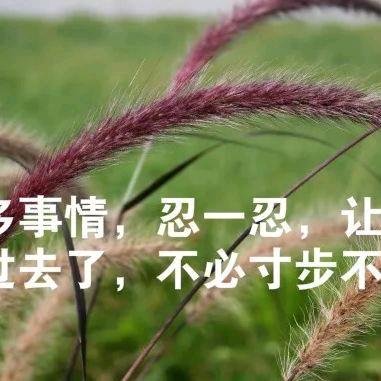 心心相印