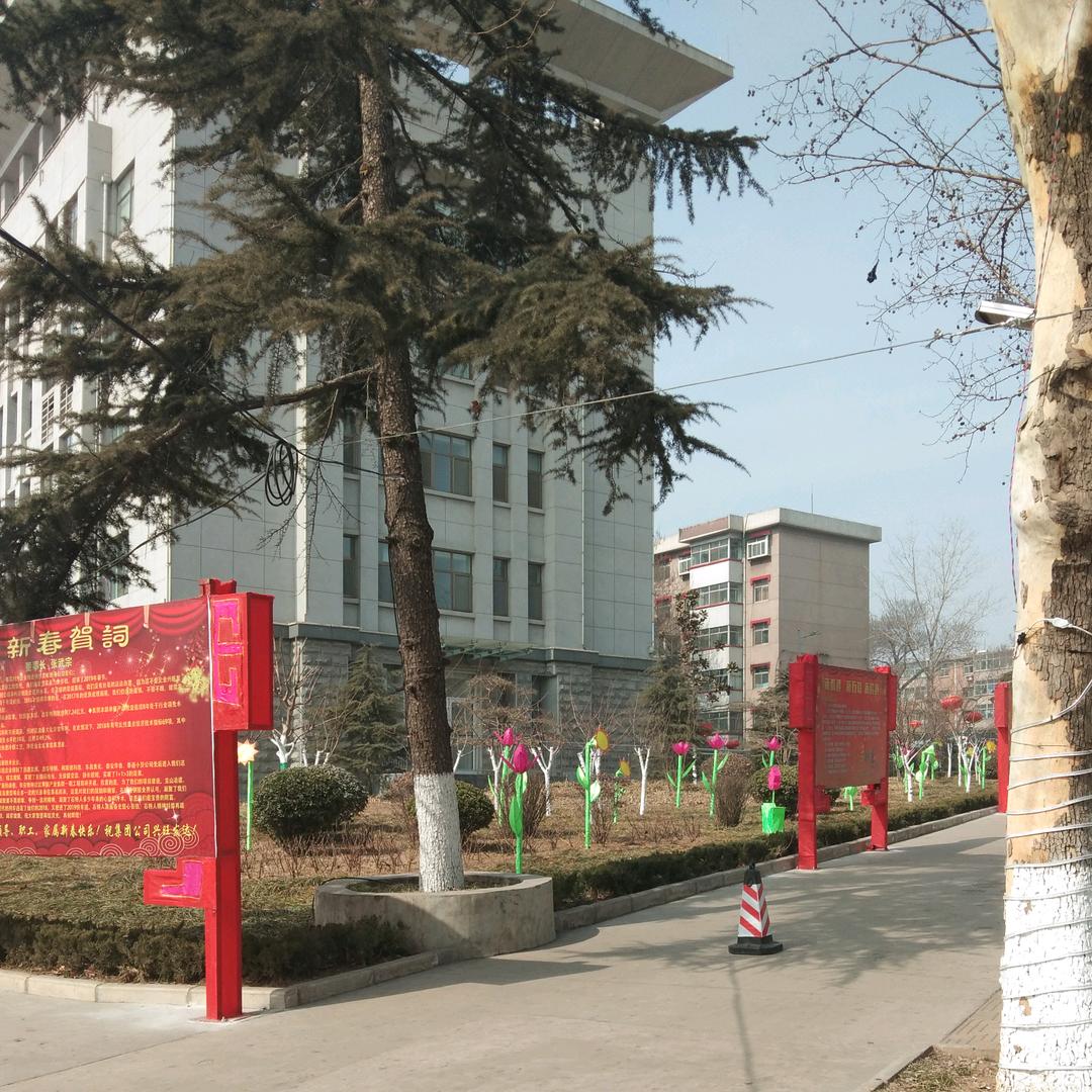 奋战书圣