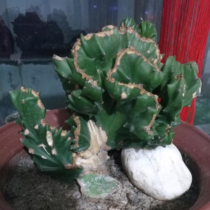 快乐😊