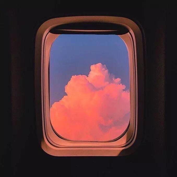灵灵狗