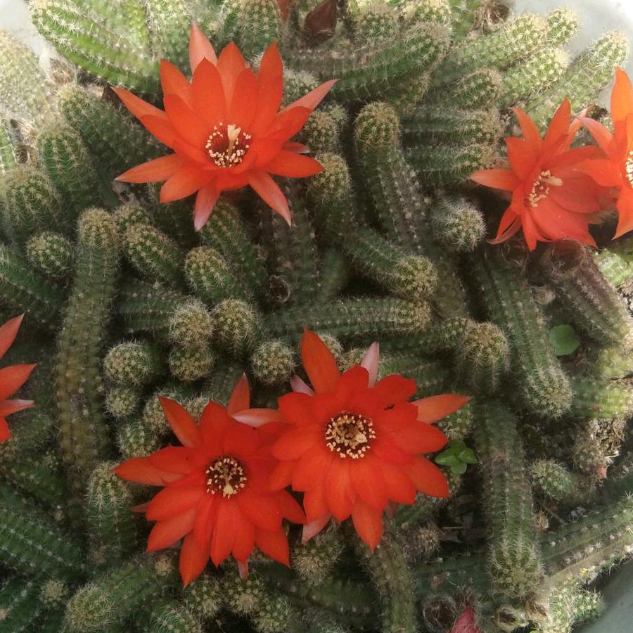 对自己好一点💞💞💞