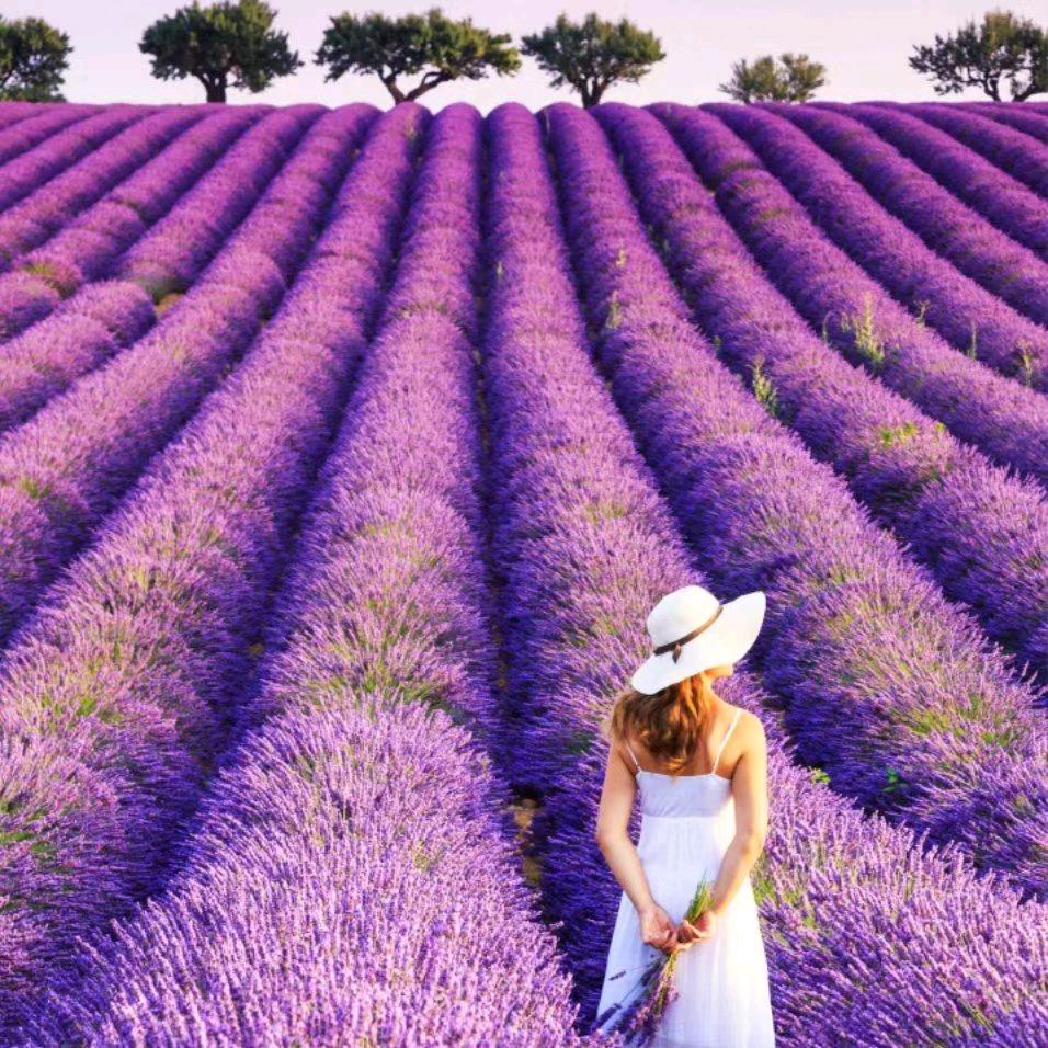 二小姐(●—●)