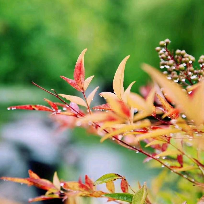 春暖花开