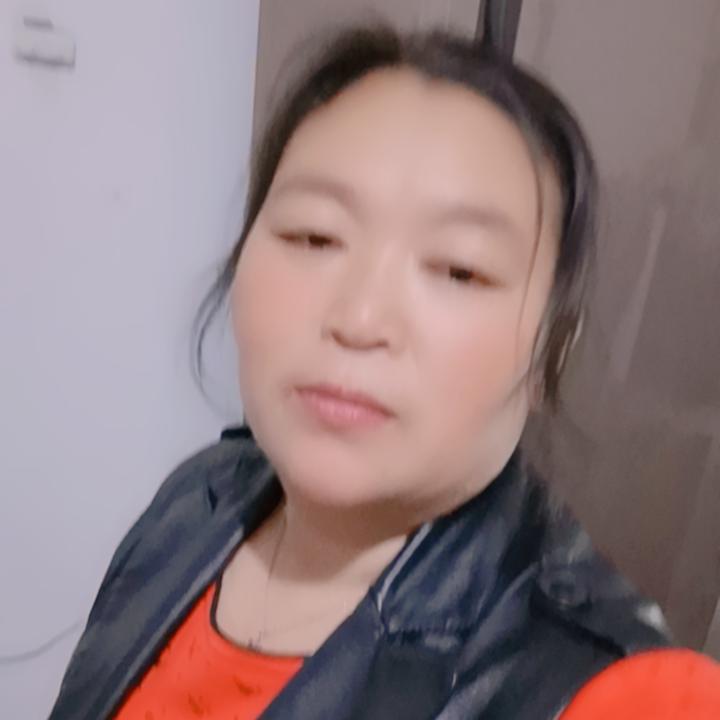 SHX26240249329