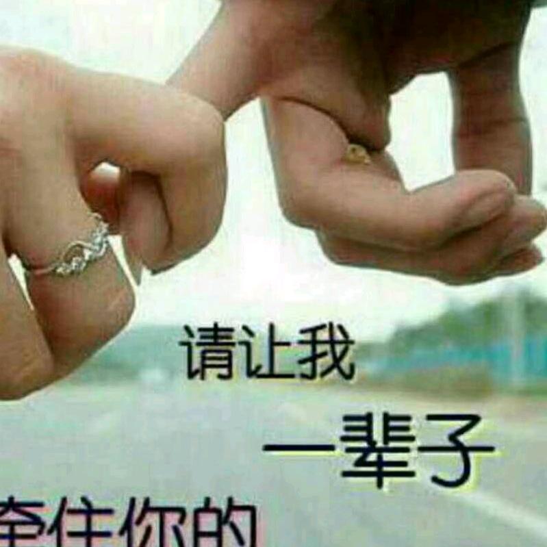 飞鹰