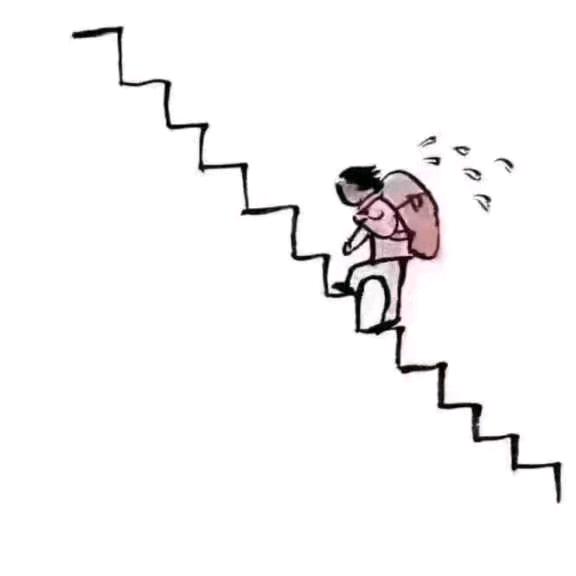 晓格