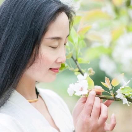 美人鱼教练如梦