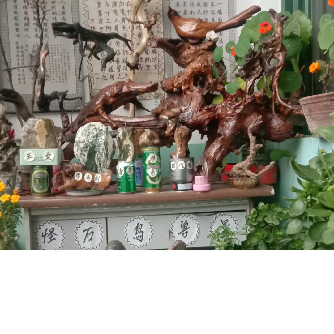 幸福每一天