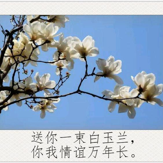 苦累不要怕