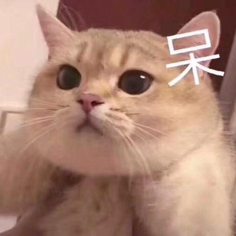机智如我