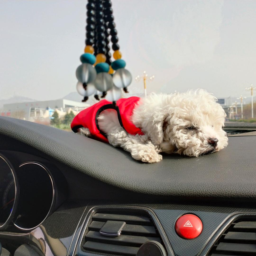 💋     大点点、