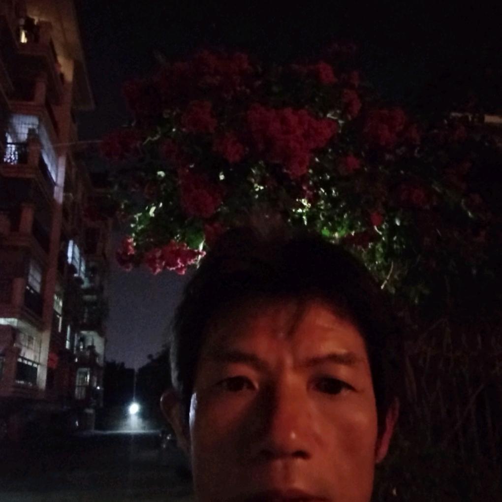 水中的鱼