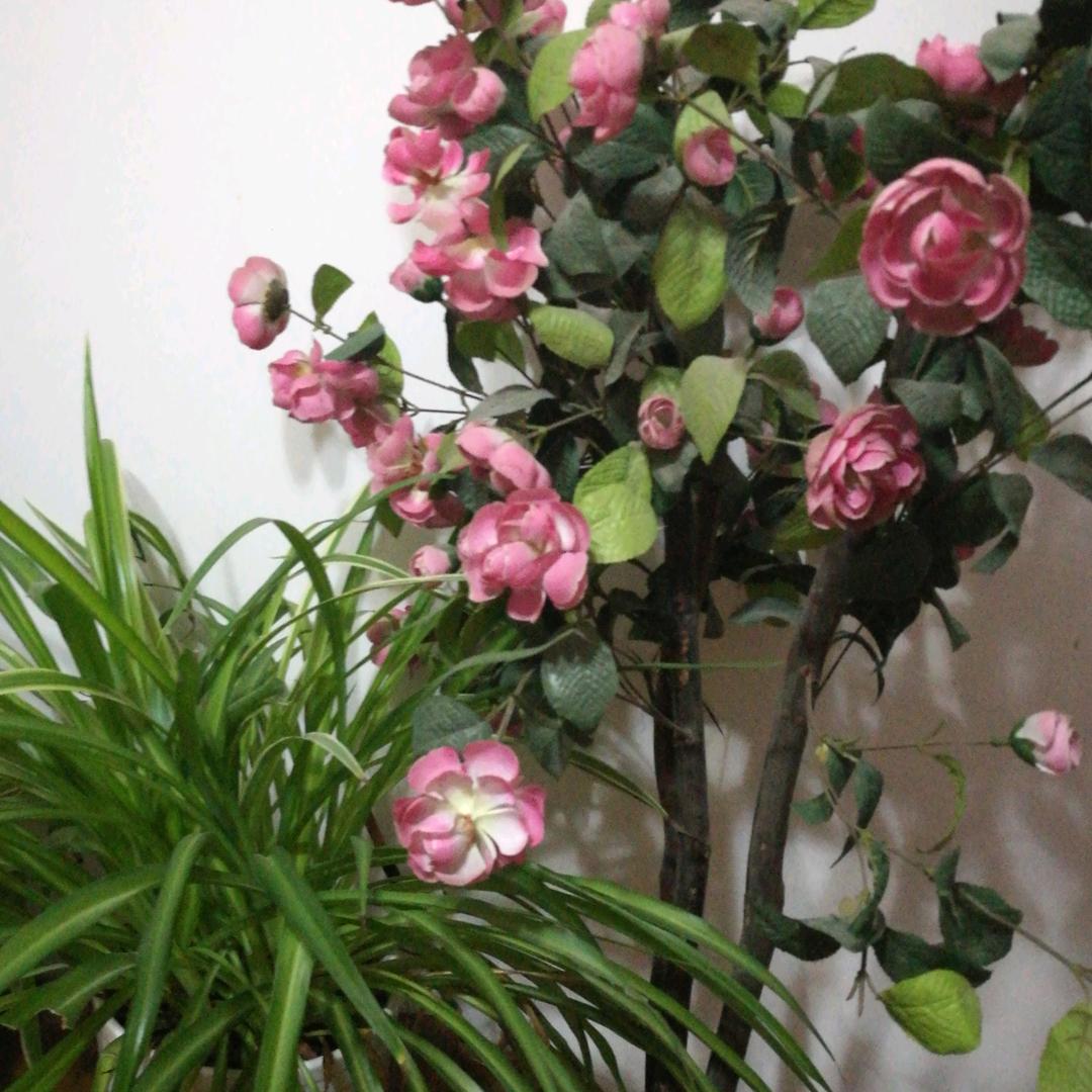 天天快乐😃😃