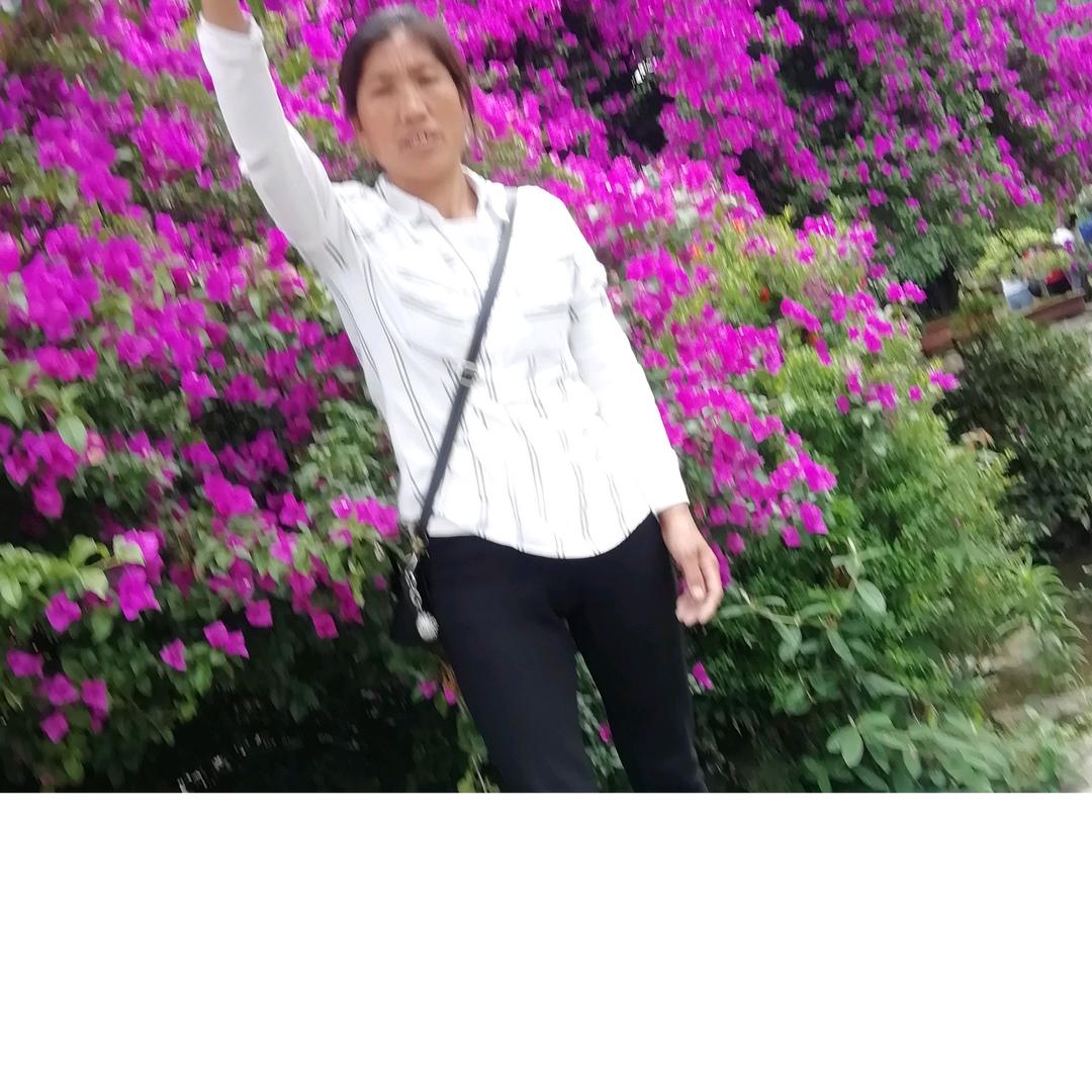 相聚是缘晏大姐