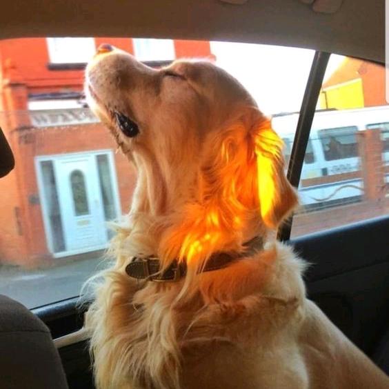 一又二分之一⭐夏天