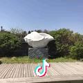 拖拉机赛车手