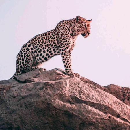 千姿潮品®️➖多工艺服装辅料